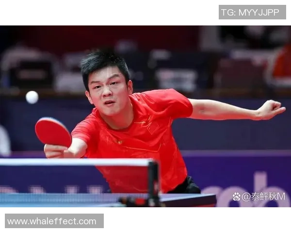 上海乒乓球队的节奏揭秘：深度解析乒乓球的魅力与技巧