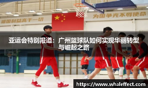 球速体育官方网站