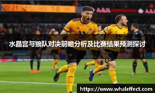 水晶宫与狼队对决前瞻分析及比赛结果预测探讨